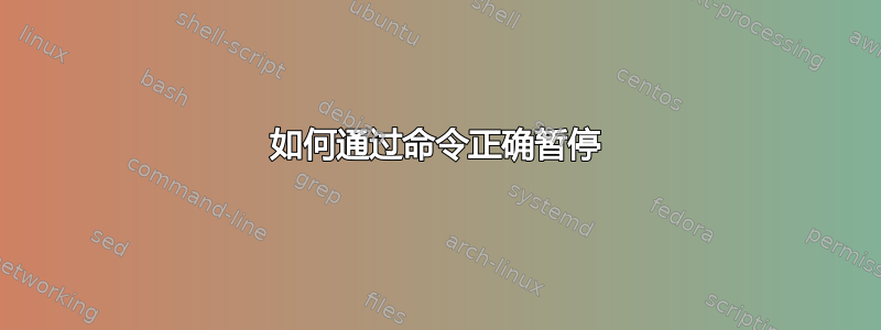 如何通过命令正确暂停