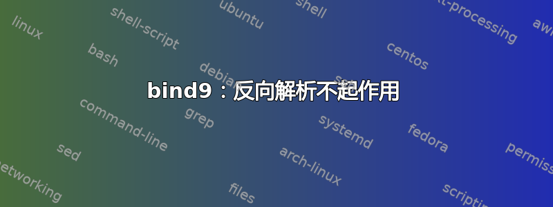 bind9：反向解析不起作用