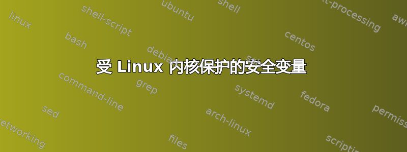 受 Linux 内核保护的安全变量