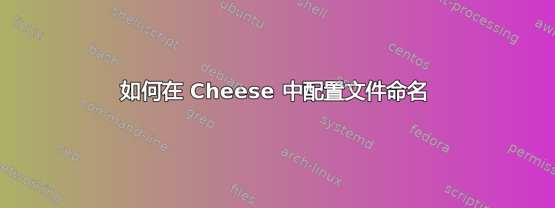 如何在 Cheese 中配置文件命名