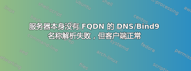 服务器本身没有 FQDN 的 DNS/Bind9 名称解析失败，但客户端正常