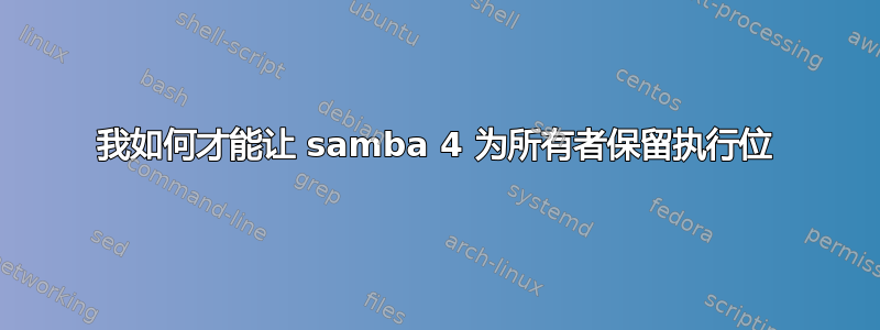 我如何才能让 samba 4 为所有者保留执行位