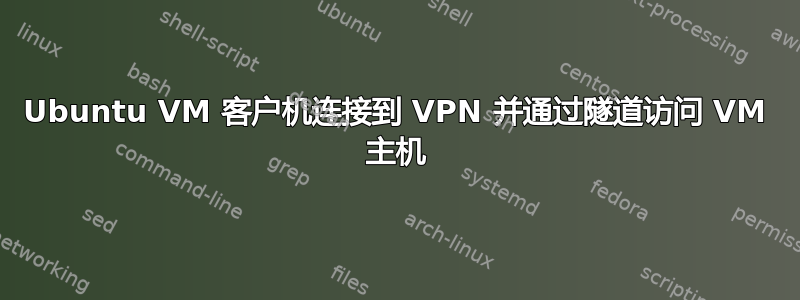 Ubuntu VM 客户机连接到 VPN 并通过隧道访问 VM 主机