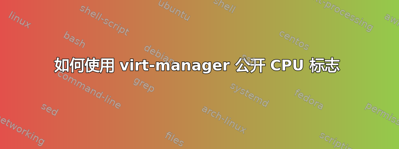 如何使用 virt-manager 公开 CPU 标志