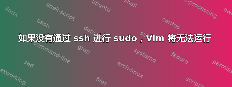 如果没有通过 ssh 进行 sudo，Vim 将无法运行