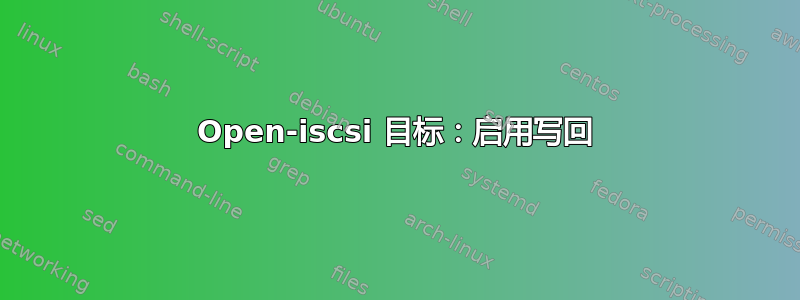 Open-iscsi 目标：启用写回