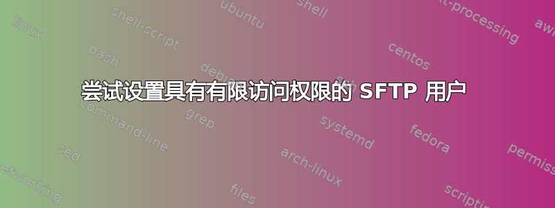 尝试设置具有有限访问权限的 SFTP 用户