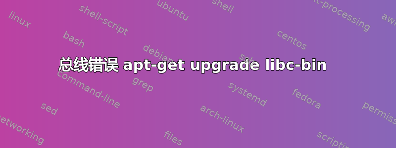 总线错误 apt-get upgrade libc-bin 