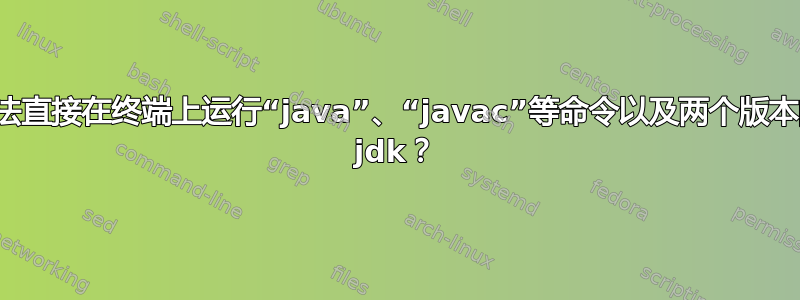 无法直接在终端上运行“java”、“javac”等命令以及两个版本的 jdk？