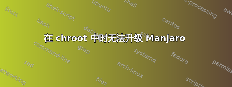 在 chroot 中时无法升级 Manjaro