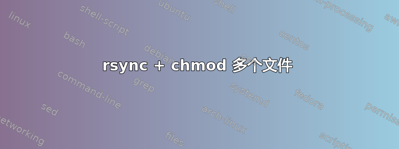 rsync + chmod 多个文件