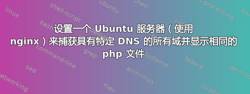 设置一个 Ubuntu 服务器（使用 nginx）来捕获具有特定 DNS 的所有域并显示相同的 php 文件