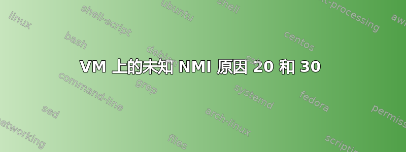 VM 上的未知 NMI 原因 20 和 30