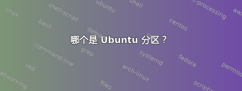 哪个是 Ubuntu 分区？