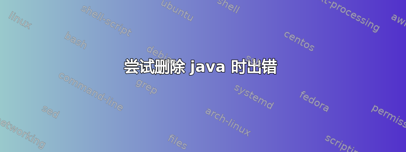 尝试删除 java 时出错