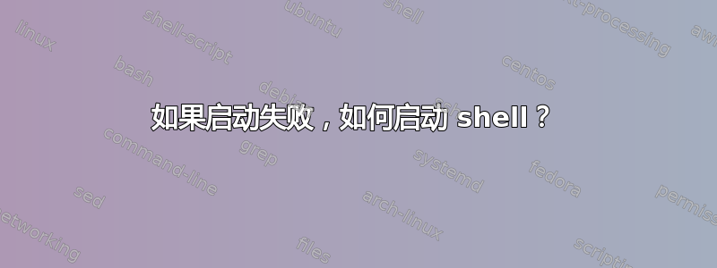 如果启动失败，如何启动 shell？