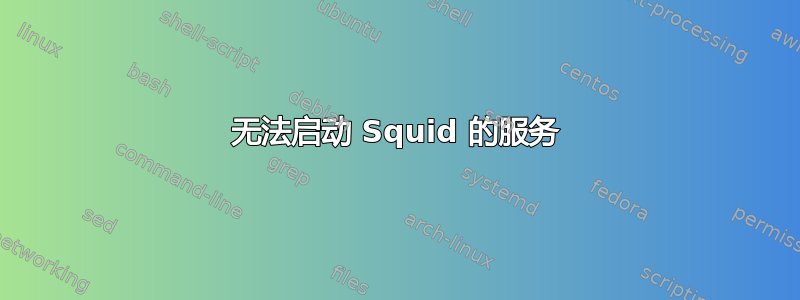 无法启动 Squid 的服务