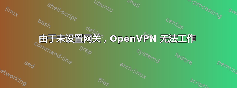 由于未设置网关，OpenVPN 无法工作