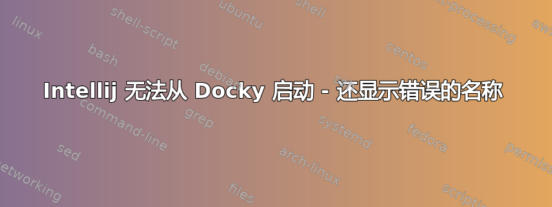 Intellij 无法从 Docky 启动 - 还显示错误的名称