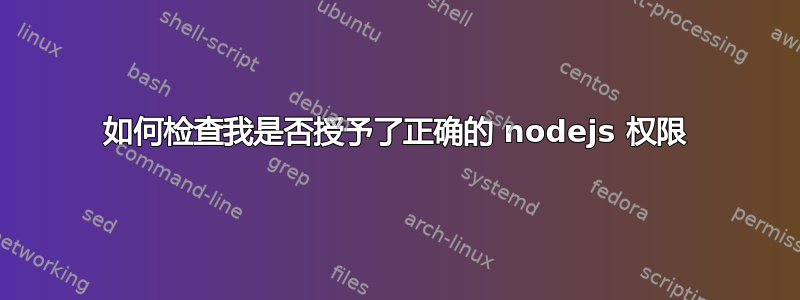 如何检查我是否授予了正确的 nodejs 权限