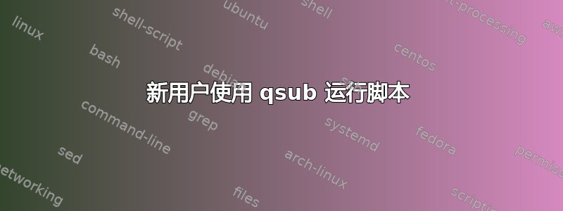 新用户使用 qsub 运行脚本