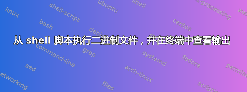 从 shell 脚本执行二进制文件，并在终端中查看输出