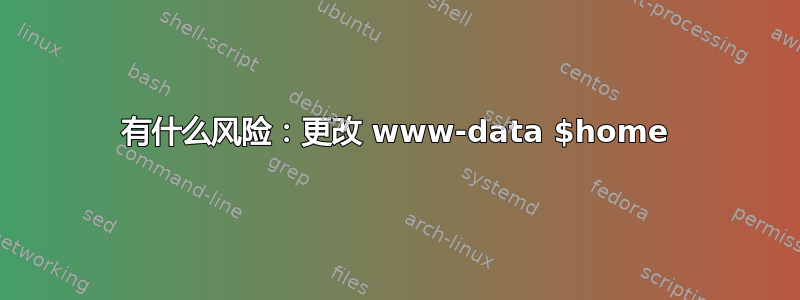 有什么风险：更改 www-data $home