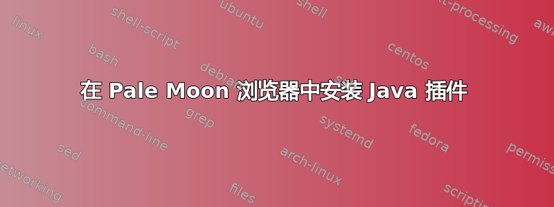 在 Pale Moon 浏览器中安装 Java 插件