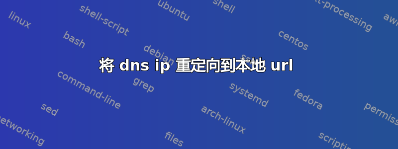 将 dns ip 重定向到本地 url