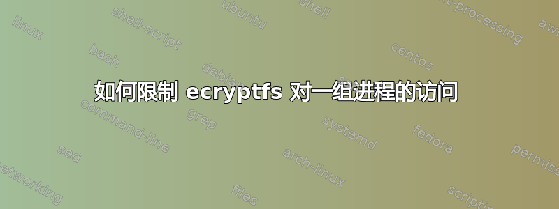 如何限制 ecryptfs 对一组进程的访问