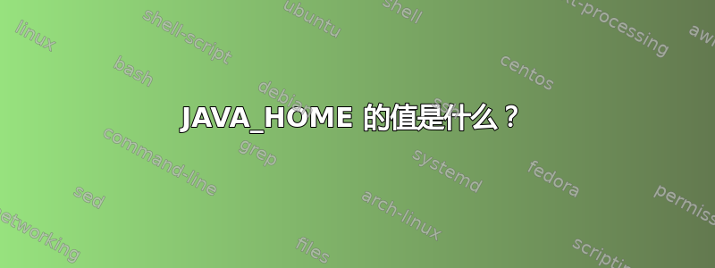 JAVA_HOME 的值是什么？