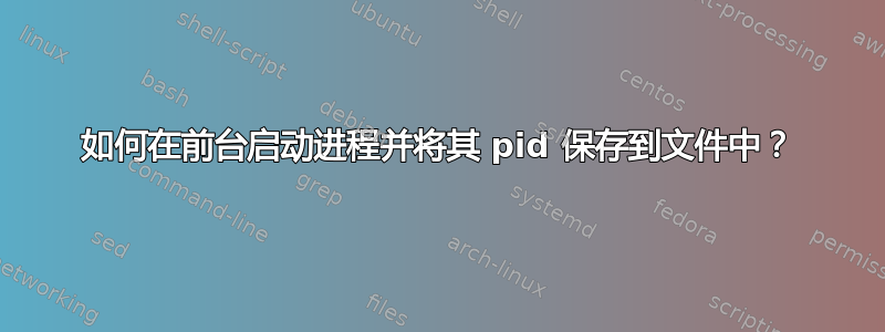 如何在前台启动进程并将其 pid 保存到文件中？