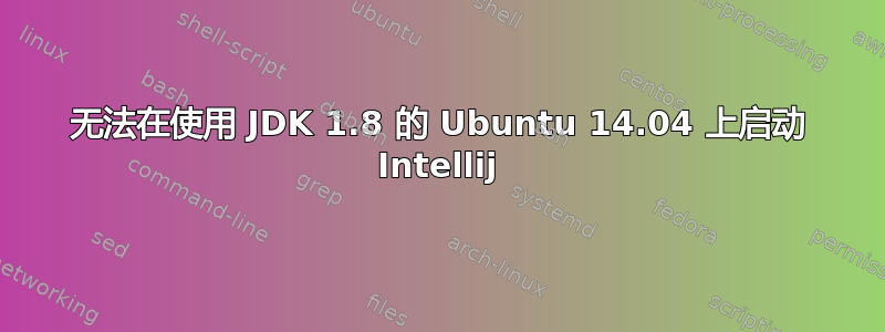 无法在使用 JDK 1.8 的 Ubuntu 14.04 上启动 Intellij